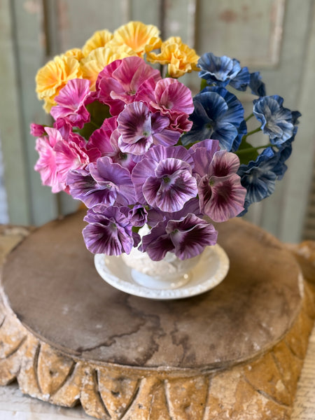 Flamenco Pansy | 11" | Swirl | NOT CURRENTLY IN STOCK-New For Spring 2027!
