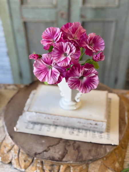 Flamenco Pansy | 11" | Swirl | NOT CURRENTLY IN STOCK-New For Spring 2027!