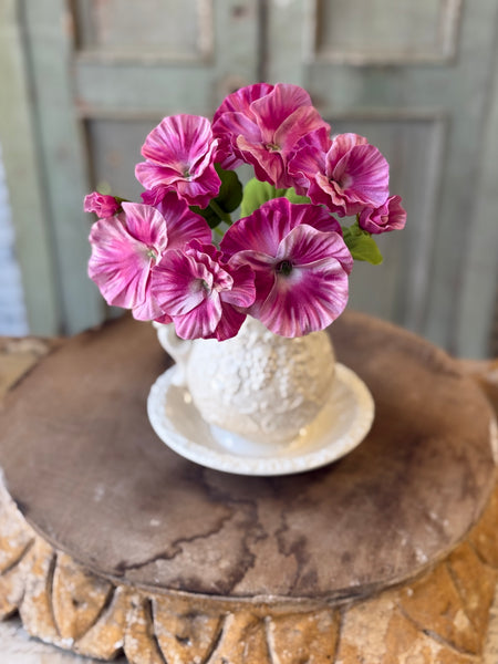 Flamenco Pansy | 11" | Swirl | NOT CURRENTLY IN STOCK-New For Spring 2027!