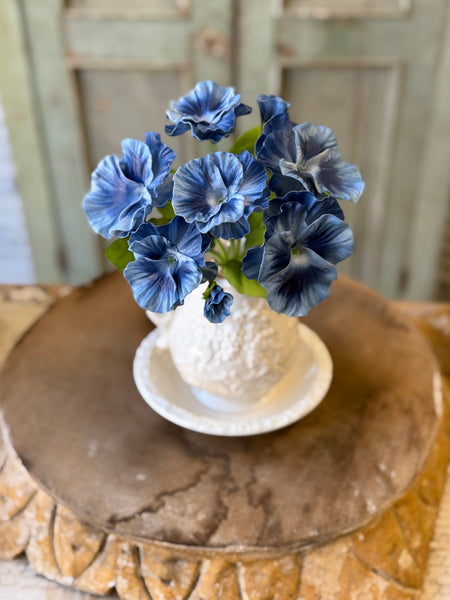 Flamenco Pansy | 11" | Sky | NOT CURRENTLY IN STOCK-New For Spring 2027!