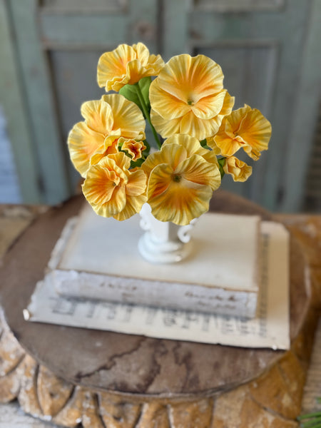 Flamenco Pansy | 11" | Light | NOT CURRENTLY IN STOCK-New For Spring 2027!