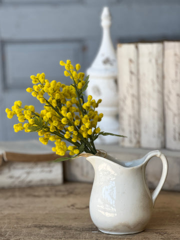 Medallion Mimosa Bundle | 11.5" | CLEAN UP SPECIAL!  From $4.50 - Last 72pcs!