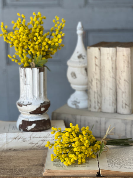 Medallion Mimosa Bundle | 11.5" | CLEAN UP SPECIAL!  From $4.50 - Last 72pcs!