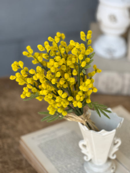 Medallion Mimosa Bundle | 11.5" | CLEAN UP SPECIAL!  From $4.50 - Last 72pcs!