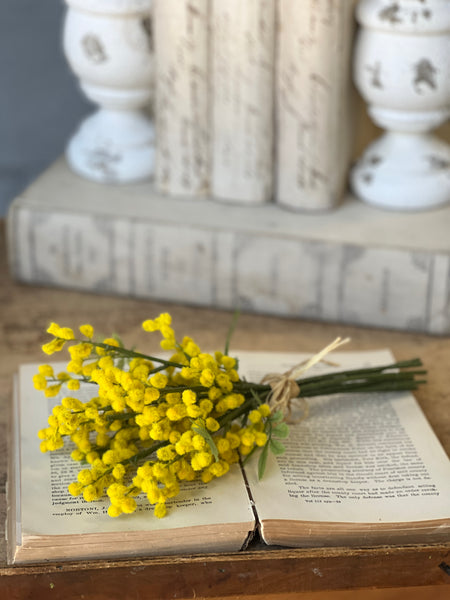 Medallion Mimosa Bundle | 11.5" | CLEAN UP SPECIAL!  From $4.50 - Last 72pcs!