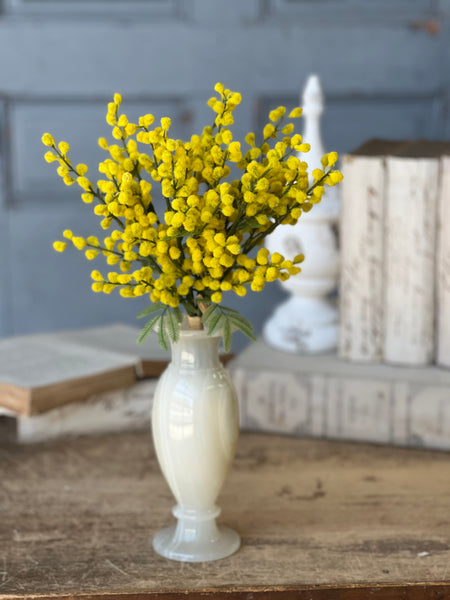 Medallion Mimosa Bundle | 11.5" | CLEAN UP SPECIAL!  From $4.50 - Last 72pcs!