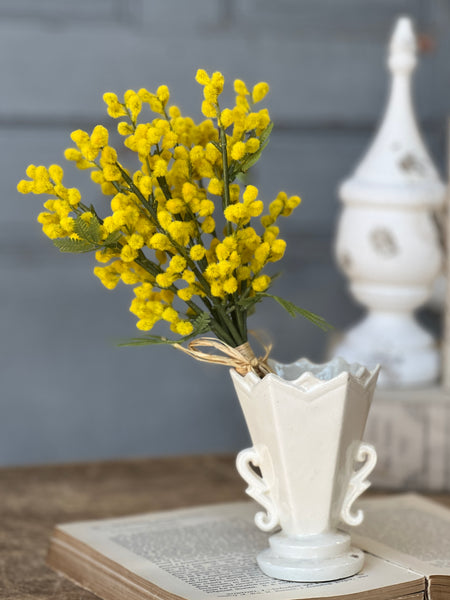 Medallion Mimosa Bundle | 11.5" | CLEAN UP SPECIAL!  From $4.50 - Last 72pcs!