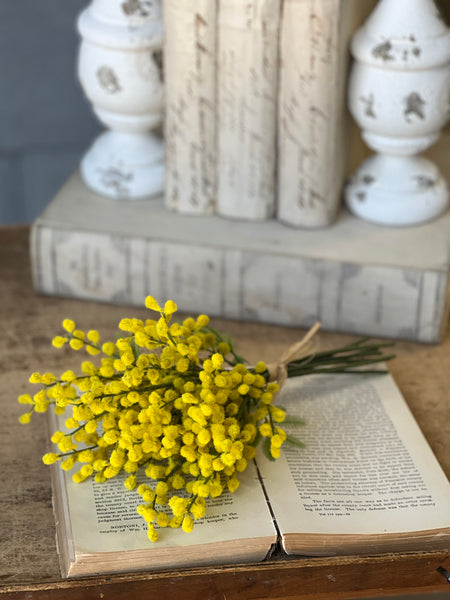 Medallion Mimosa Bundle | 13"