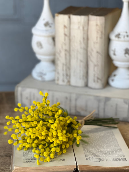 Medallion Mimosa Bundle | 13"