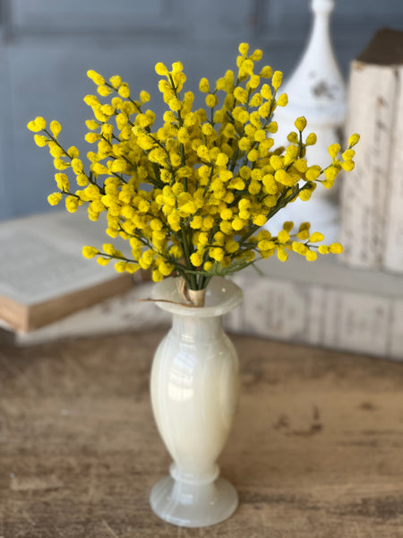 Medallion Mimosa Bundle | 13"