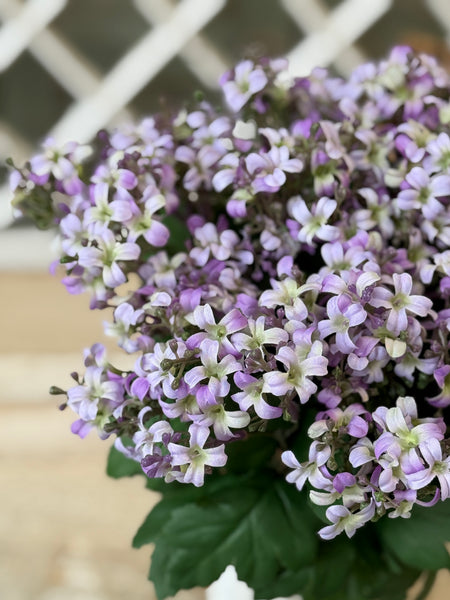Hepburn Lilac Bush | 17" | Purple | NOT CURRENTLY IN STOCK-New For Spring 2027!