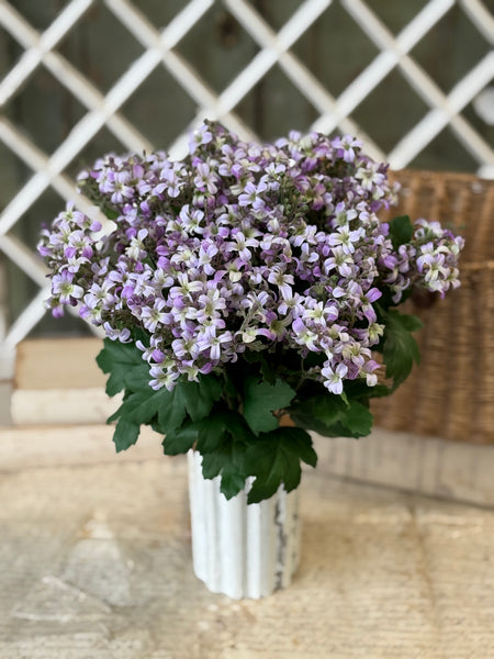 Hepburn Lilac Bush | 17" | Purple | NOT CURRENTLY IN STOCK-New For Spring 2027!