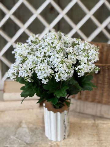 Hepburn Lilac Bush | 17" | Cream | NOT CURRENTLY IN STOCK-New For Spring 2027!