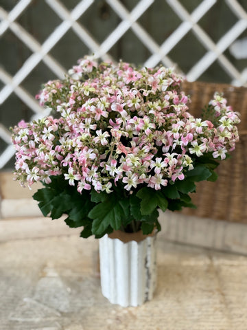Hepburn Lilac Bush | 17" | Pink | NOT CURRENTLY IN STOCK-New For Spring 2027!