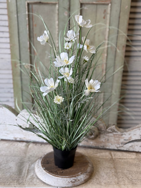 Sicily Blooms in Pot | 24" | Cream | NOT CURRENTLY IN STOCK-New For Spring 2027!
