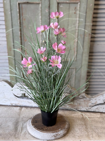 Sicily Blooms in Pot | 24" | Pink | NOT CURRENTLY IN STOCK-New For Spring 2027!