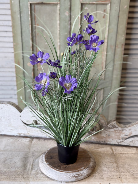 Sicily Blooms in Pot | 24" | Purple | NOT CURRENTLY IN STOCK-New For Spring 2027!