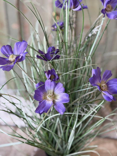 Sicily Blooms in Pot | 24" | Purple | NOT CURRENTLY IN STOCK-New For Spring 2027!