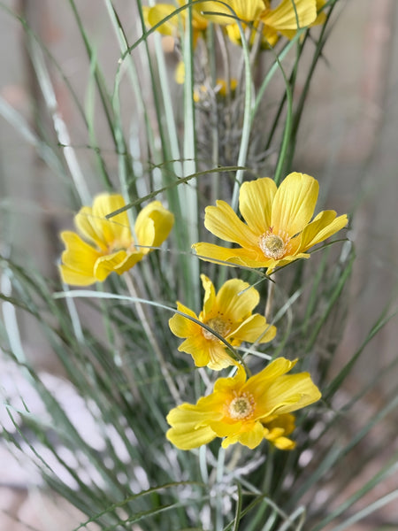 Sicily Blooms in Pot | 24" | Yellow | NOT CURRENTLY IN STOCK-New For Spring 2027!