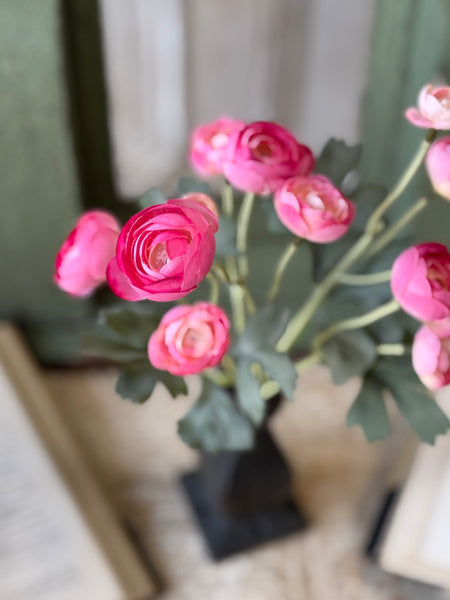 Brightside Blooms | 15" | Flirt | NOT CURRENTLY IN STOCK-New For Spring 2027!