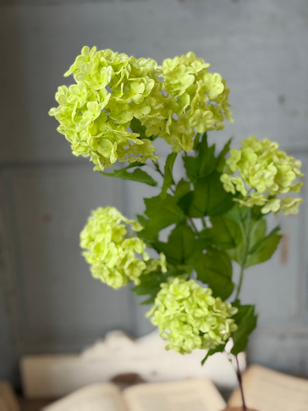 Halloway Snowball Spray | 35" | Green | NOT CURRENTLY IN STOCK-New For Spring 2027!