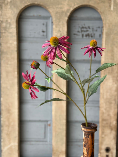 Coneflower Spray | 26" | Maven | NOT CURRENTLY IN STOCK-New For Spring 2027!