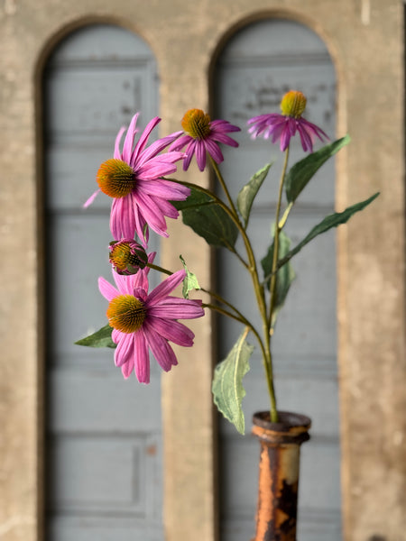 Coneflower Spray | 26