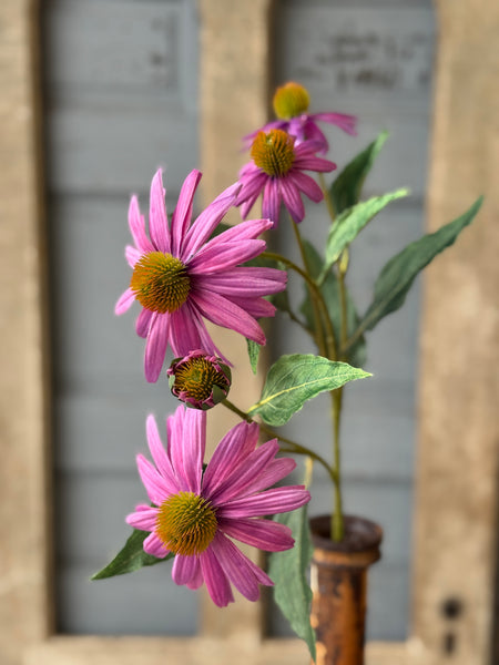 Coneflower Spray | 26" | Flirt | NOT CURRENTLY IN STOCK-New For Spring 2027!
