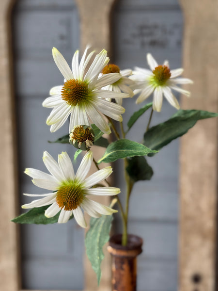 Coneflower Spray | 26" | Halo | NOT CURRENTLY IN STOCK-New For Spring 2027!