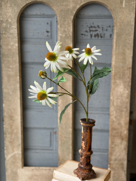 Coneflower Spray | 26" | Halo | NOT CURRENTLY IN STOCK-New For Spring 2027!