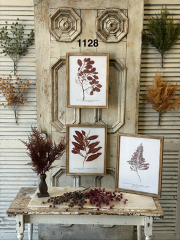 Sample Lot | Lot 1128 | Fall | $55