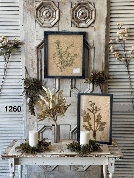 Sample Lot | Lot 1260 | Fall