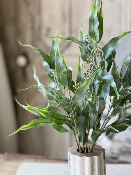 Ripley Bush | 21" | NOT CURRENTLY IN STOCK - Spring 2026