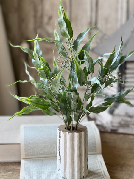 Ripley Bush | 21" | NOT CURRENTLY IN STOCK - Spring 2026