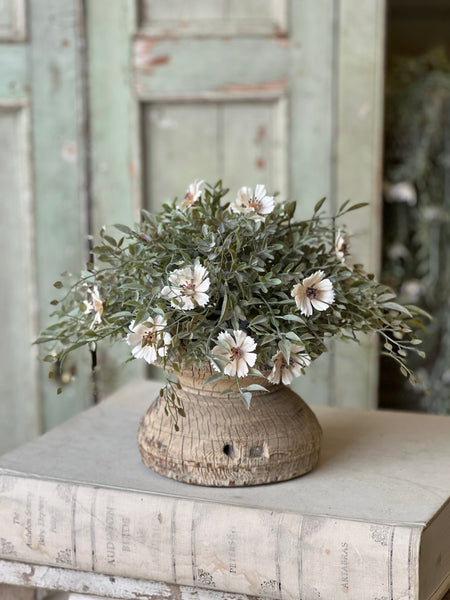 Charade Cosmos Half Sphere | 11" | NOT CURRENTLY IN STOCK - Spring 2026