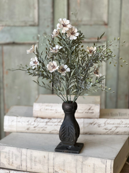 Charade Cosmos Bush | 15" | NOT CURRENTLY IN STOCK - Spring 2026