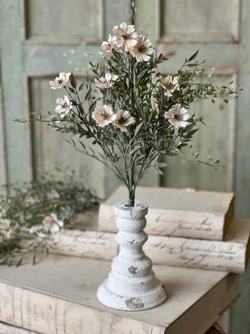 Charade Cosmos Bush | 15" | NOT CURRENTLY IN STOCK - Spring 2026