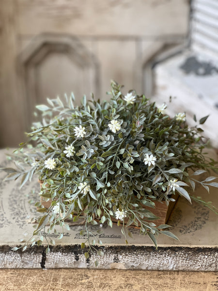 Chadwick Buds Half Sphere | 11" | NOT CURRENTLY IN STOCK - Spring 2026