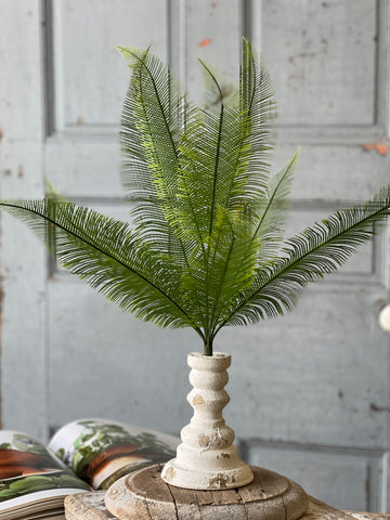 Quill Fern Bush | 20" | CLEAN UP SPECIAL!  From $3.50 - Last 72pcs!