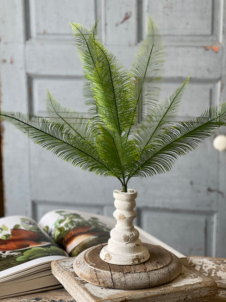 Quill Fern Bush | 20" | CLEAN UP SPECIAL!  From $3.50 - Last 72pcs!