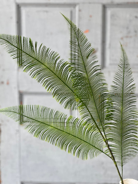 Quill Fern Spray | 37" | CLEAN UP SPECIAL!  From $3.70 - Last 24pcs!