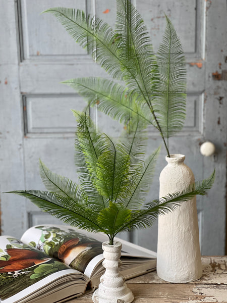 Quill Fern Bush | 20" | CLEAN UP SPECIAL!  From $3.50 - Last 72pcs!