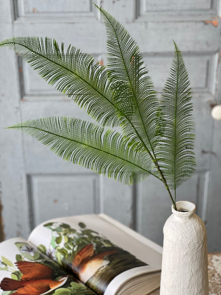 Quill Fern Spray | 37" | CLEAN UP SPECIAL!  From $3.70 - Last 24pcs!