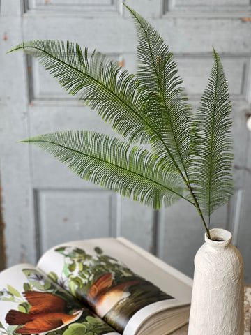 Quill Fern Spray | 37" | CLEAN UP SPECIAL!  From $3.70 - Last 24pcs!