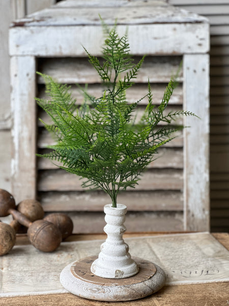 Wayfarer Fern Bush | 20.5"