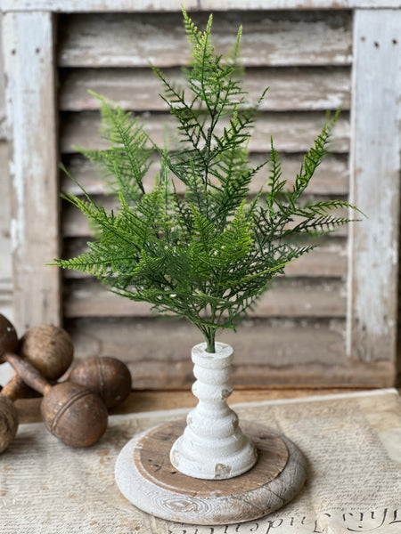 Wayfarer Fern Bush | 20.5"