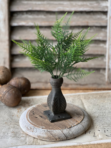 Wayfarer Fern Bush | 13.5"