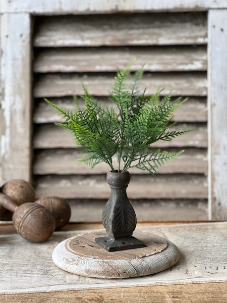 Wayfarer Fern Bush | 13.5"