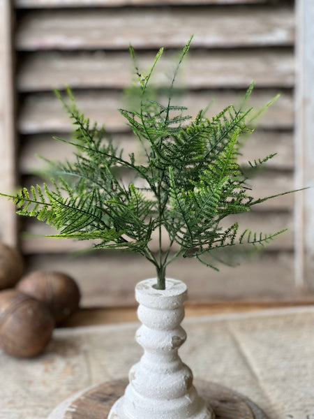 Wayfarer Fern Bush | 13.5"