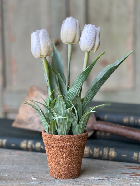 Holland Tulip Pot | 12" | Cream | NOT CURRENTLY IN STOCK - Spring 2026